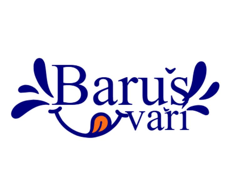 Baruš vaří