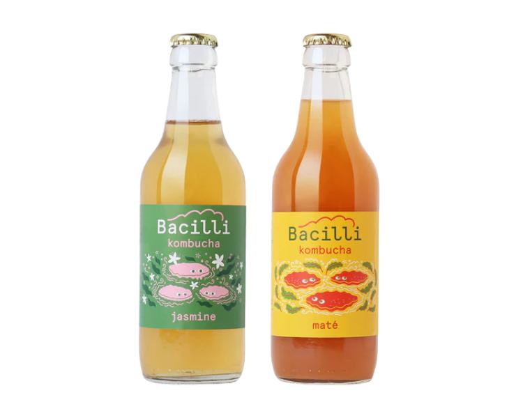 Bacilli kombucha