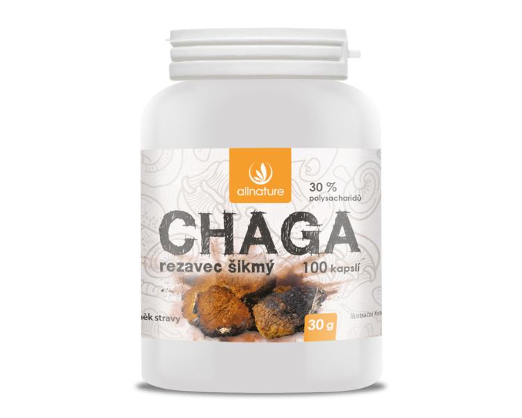 Allnature Chaga