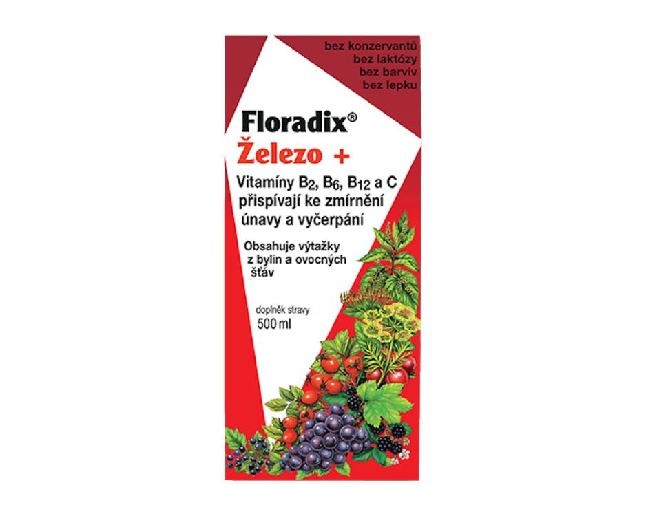 SALUS Floradix železo+ sirup