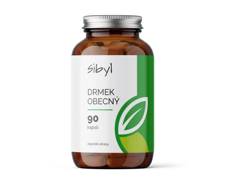 Sibyl Drmek obecný