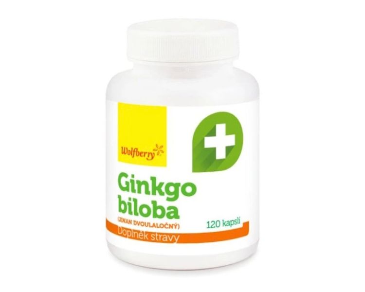 Wolfberry Ginkgo biloba